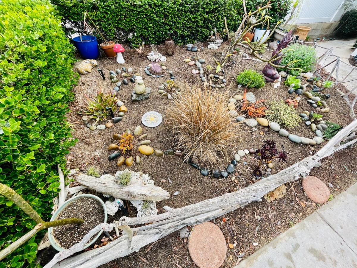 Pacific Beach Butterfly Suite サンディエゴ エクステリア 写真