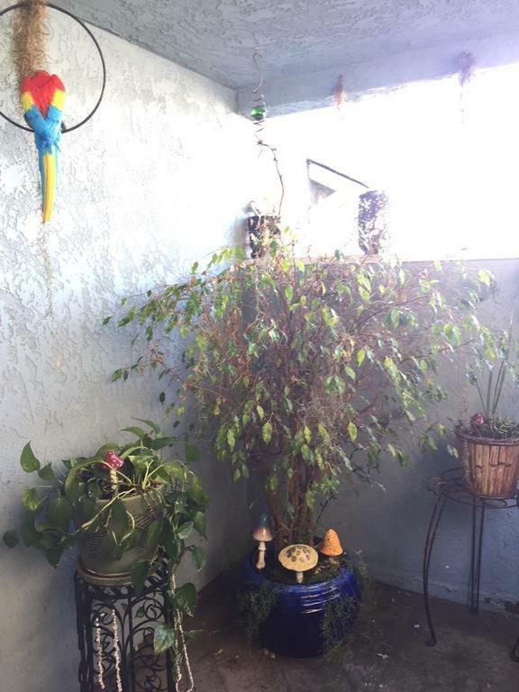 Pacific Beach Butterfly Suite サンディエゴ エクステリア 写真