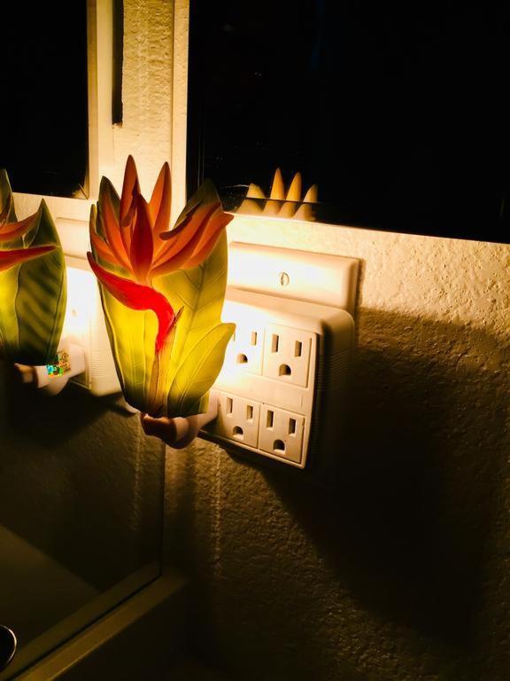 Pacific Beach Butterfly Suite サンディエゴ エクステリア 写真